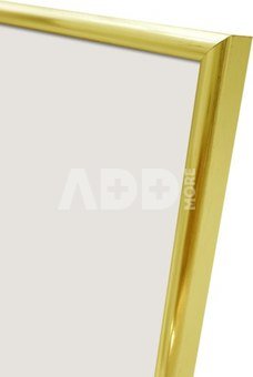 Focus Lily Gold 18x24