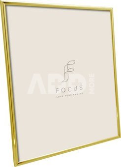 Focus Lily Gold 24x30