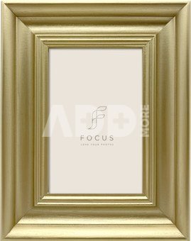 Focus Lotus Gold 18x24