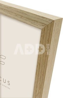 Focus Willow Oak 30X45
