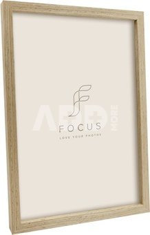 Focus Willow Oak 50x70 Acrylic Glass