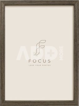 Focus Willow Walnut 40X50
