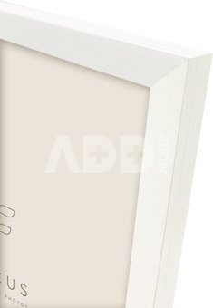 Focus Willow White 10x13