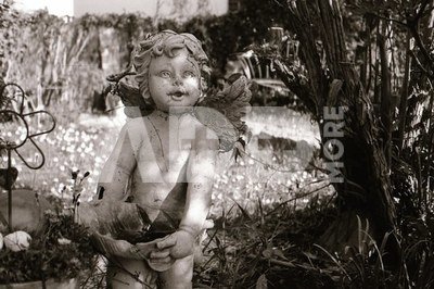 FOMA Fomapan 100 R S/W Direct Positive Film 135/36