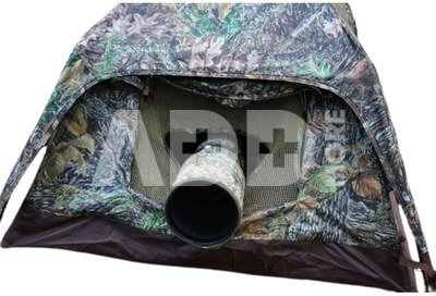 Tragopan Photo Hide HOKKI V3 thumbhide