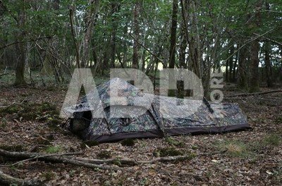 Tragopan Photo Hide HOKKI V3 thumbhide