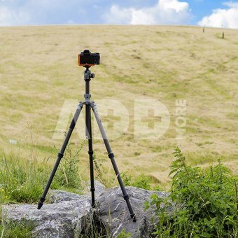 Fotopro Sherpa Max Carbon Statief Grijs