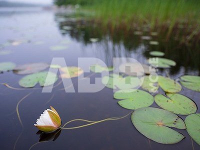 Fujifilm Fujinon GF30mm F3.5 R WR