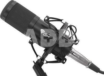 Genesis Gaming Microphone Radium 300 Black, Wired