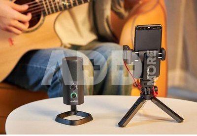 Godox UMic22 Dual pattern USB Condenser Microphone 2.4GHz