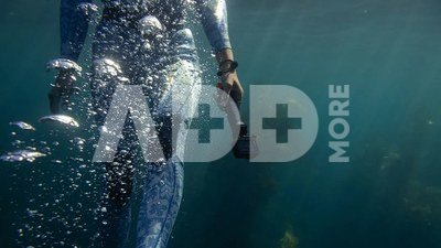 GoPro Handler Floating Hand Grip V3