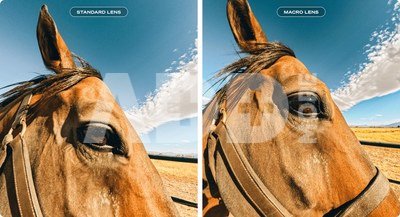 GoPro Macro Lens Mod (HERO13 Black)