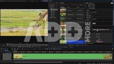 Grass Valley Grass Valley EDIUS 11 Pro Jump Upgrade Second Activation Option