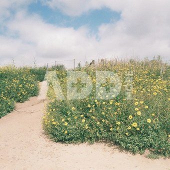 GT Photo GT24FILM Photo Film 35mm