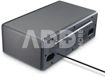00054253 DIR1570CBT Digital Radio