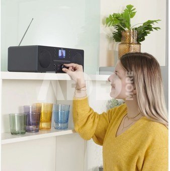00054253 DIR1570CBT Digital Radio