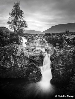Ilford Film ORTHO PLUS 120 EXP