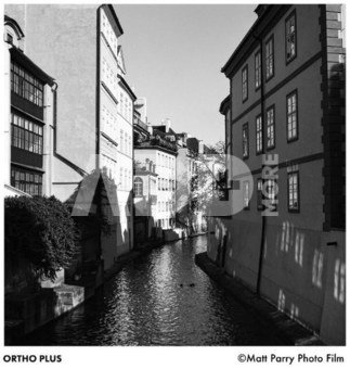 Ilford Film ORTHO PLUS 120 EXP