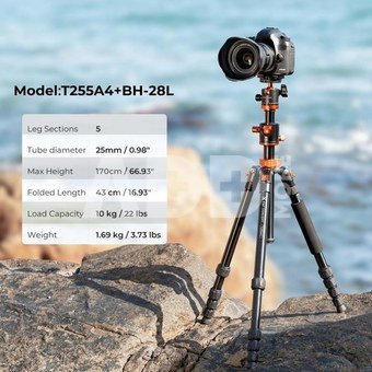 K&F Concept T254A4 tripod with BH-28L ball head