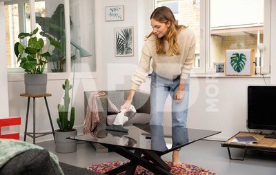 Karcher WV 1 Plus