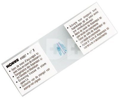 Konus Preparation Set Human Body (25 Pcs)
