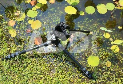 Laowa 24mm f/14 2X Macro Probe Canon RF (Standard)