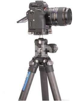 Leofoto LS-254C + LH30 Ranger Tripod