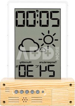 Levenhuk Wezzer BASE L60 Thermohygrometer
