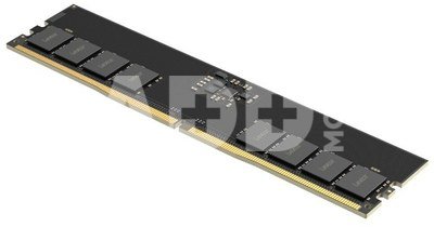 Lexar 16 GB | DDR5 | 5600 MHz | PC/server | Registered No | ECC Yes