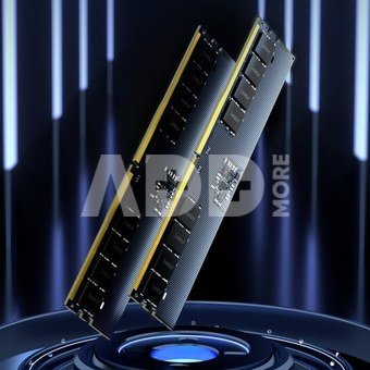 Lexar 16 GB | DDR5 | 5600 MHz | PC/server | Registered No | ECC Yes