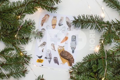 Lipdukai &bdquo;Tobulos medžiotojos. 13 Lietuvos pelėdų&ldquo; Smart Bird