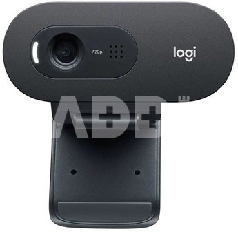 Logitech C505 HD Webcam