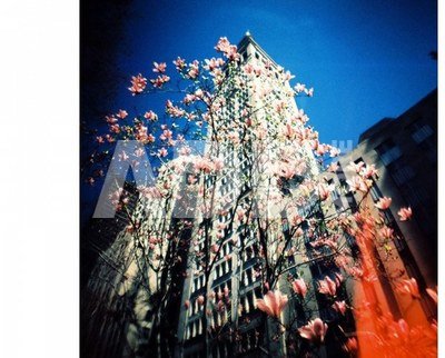 Lomography fotoaparatas Diana F+ min NAMIi, su blykste (135 formato)