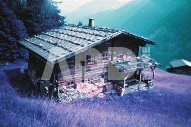 Lomography fotoaparatas Lomochrome Purple + fotojuosta Lomochrome Purple 400/135/27