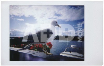 LOMOGRAPHY LOMO'INSTANT MINI SAN REMO