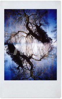 Lomography Lomo Instant Automat Glass - Serengeti