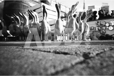 Lomography Simple Use Film Camera Black and White 400/27