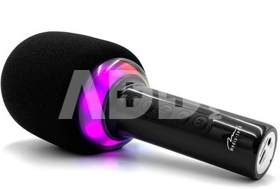 Media-Tech MT399 Karaoke Idol BT