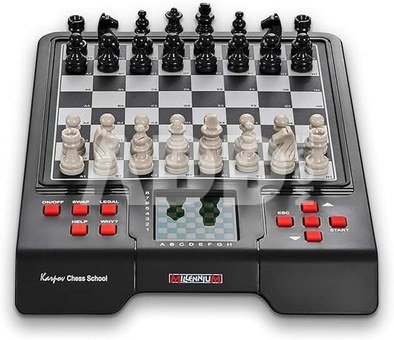 Millennium Karpov Chess School