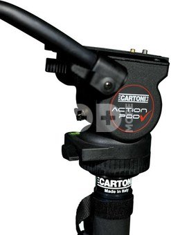 Cartoni Action Pod
