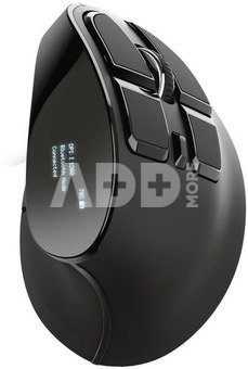 MOUSE USB OPTICAL ERGONOMIC/VOXX 23731 TRUST