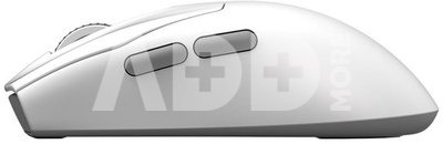 MSI Gaming Mouse | FORGE GM340 WIRELESS | Wireless | 2.4 GHz, Bluetooth, USB | White