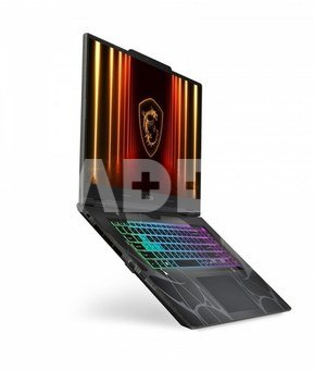 Cyborg 17 B13WGKG-203XPL 17.3 144hz i7-13620H 16GB 1SSD RTX5070 EN DOS