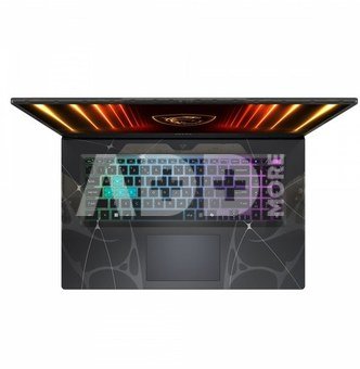 Cyborg 17 B13WGKG-203XPL 17.3 144hz i7-13620H 16GB 1SSD RTX5070 EN DOS
