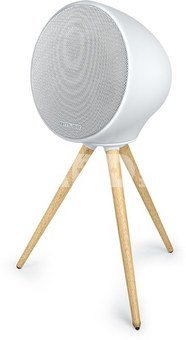 Muse ML-655 BT Portable Bluetooth Speaker