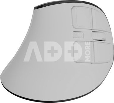 Natec Mouse | Euphonie Pro | Wireless | 2.4 GHz, Bluetooth | White