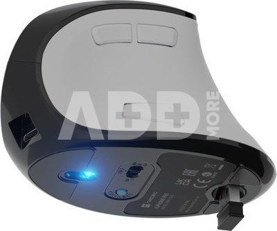 Natec Mouse | Euphonie Pro | Wireless | 2.4 GHz, Bluetooth | White
