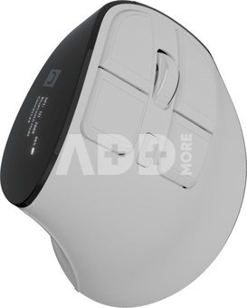 Natec Mouse | Euphonie Pro | Wireless | 2.4 GHz, Bluetooth | White