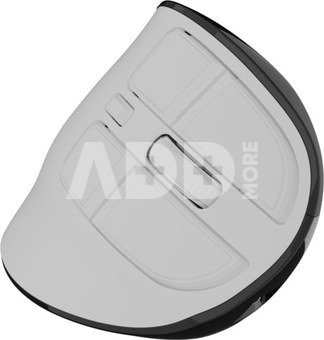 Natec Mouse | Euphonie Pro | Wireless | 2.4 GHz, Bluetooth | White