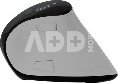 Natec Mouse | Euphonie Pro | Wireless | 2.4 GHz, Bluetooth | White